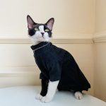 Kitty Sweater-Black