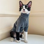 Kitty Sweater-Grey