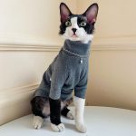 Kitty Sweater-Grey