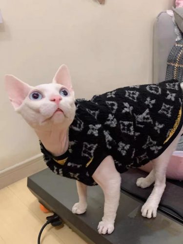Свитер для котенка-жилет "Louis Vuitton" для сфинкса фото обзор