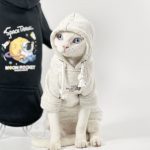 Pet Cat Costume | TNF Sphynx Hoodie, Fancy TNF Hoodie for Cat 😻