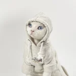 Pet Cat Costume-TNF Sphynx Hoodie