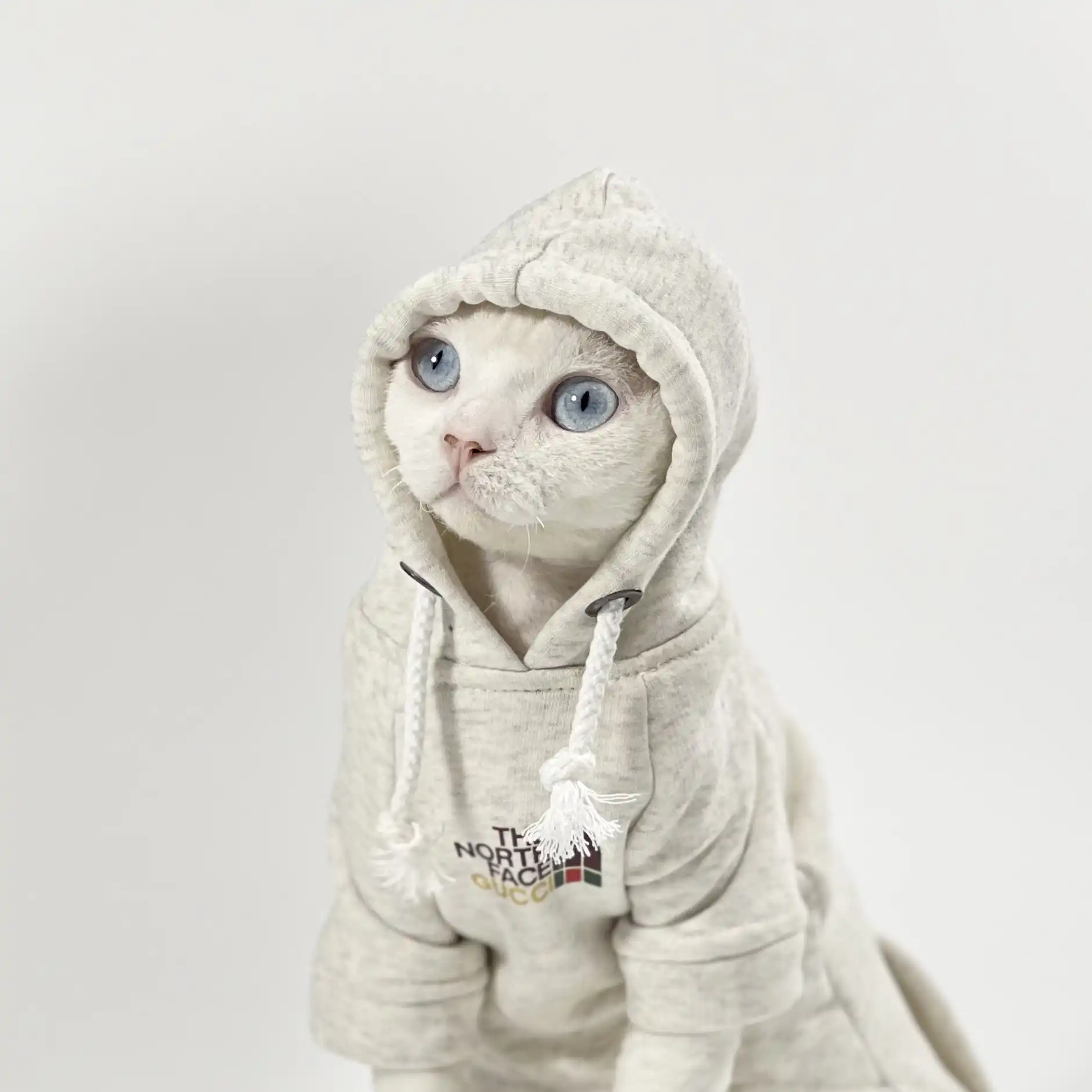 Costume da gatto per animali domestici - Felpa con cappuccio TNF Sphynx
