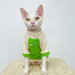 Sphynx Costume NIKE T-shirt-green