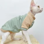 Sphynx Costume NIKE T-shirt-Matcha green