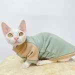 Sphynx Costume NIKE T-shirt-Matcha green