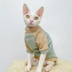 Sphynx Costume NIKE T-shirt-Matcha green