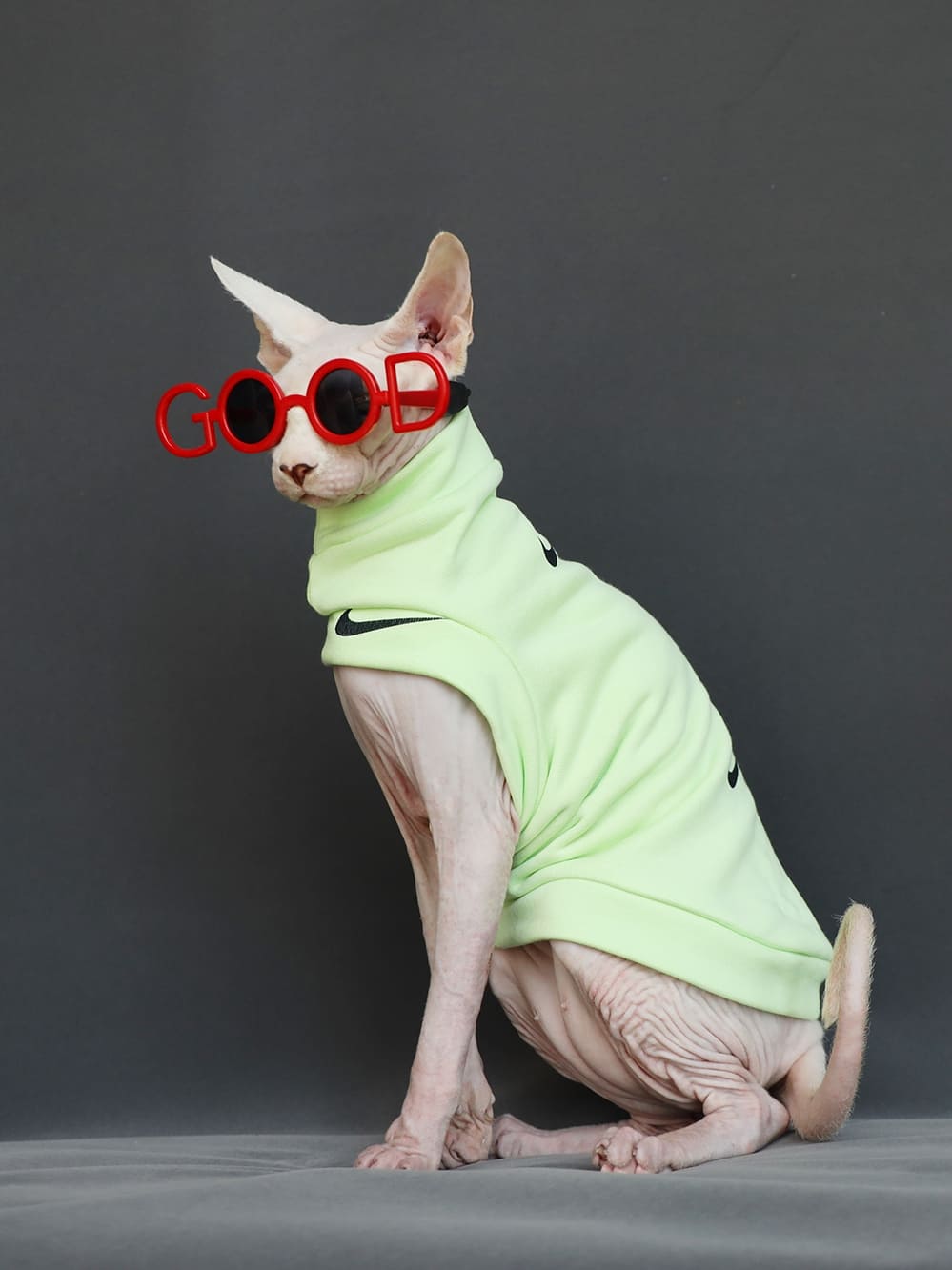 Sphynx Costume | "Nike" One Hole Shirt Cat, Sphynx Cat Clothes for Cats