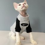 Sphynx Nike Sweatshirt | "Nike" Grey Sweatshirt, Cat Nike Sweatshirt