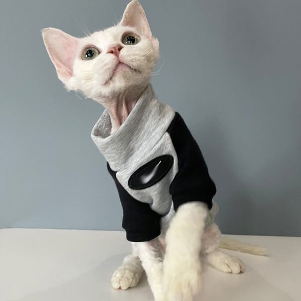 Button up Shirts for Cats | New York Yankees Logo Shirt for Sphynx