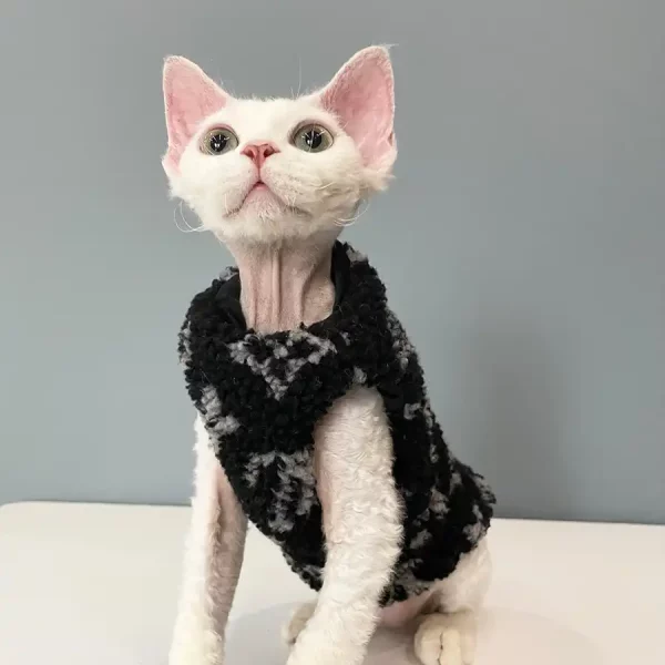 Sweater for Kitten-Louis Vuitton Vest for Sphynx