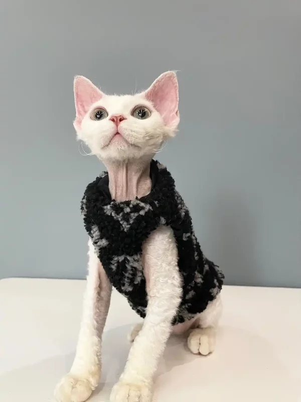 Sweater for Kitten-Louis Vuitton Vest for Sphynx