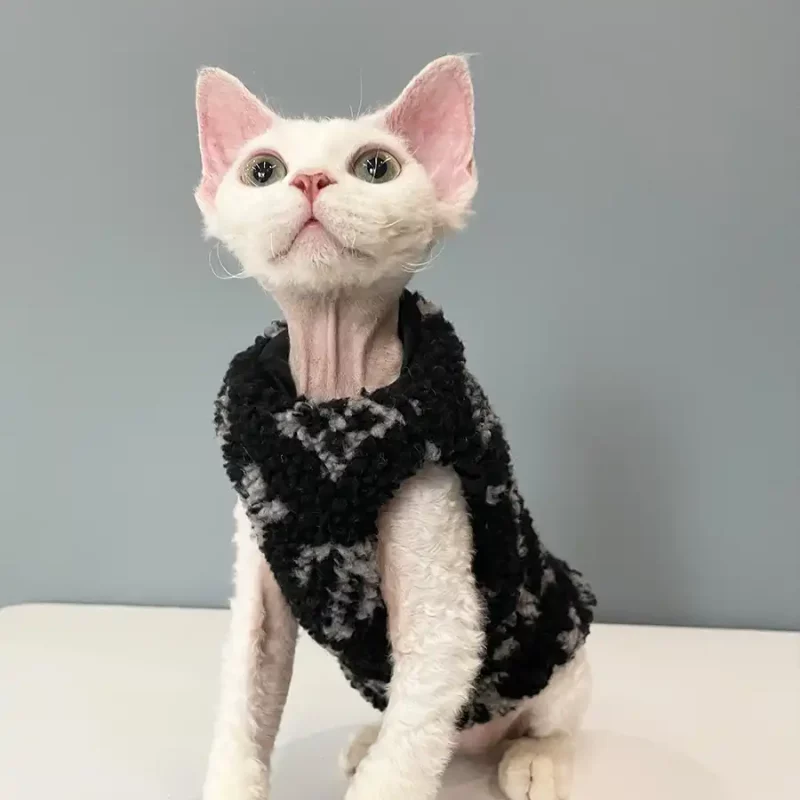Camisola para Kitten-Louis Vuitton Vuitton Vest para Sphynx