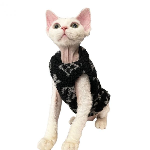 Cute Cat Outfit Beautiful Floral Camisole Dress, Dress for Cat