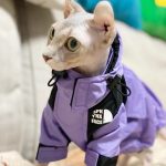 Reseña fotográfica de la chaqueta The Cat Face Jacket-Sphynx Face Pizex Jacket