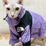 A revista de fotos do casaco de gatos-Sphynx Face Pizex Jacket