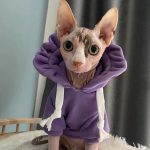 Hoodies for Cats | Cat Hoodie with Flower Hat for Sphynx Cat