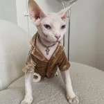 Cat Costumes for Pets-Gold Velvet Cat Clothes-ginger yellow