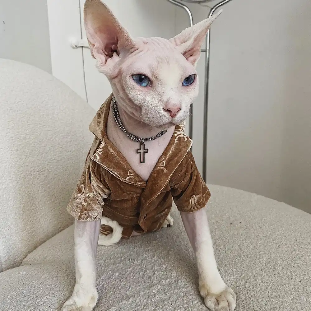 Sphynx Cat Clothes from YESWARMG