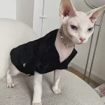 Cat Costumes for Pets-Gold Velvet Cat Clothes-black