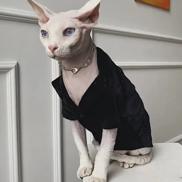 Disfraces de Gato para Mascotas-Ropa de Gato de Terciopelo Dorado-Negro