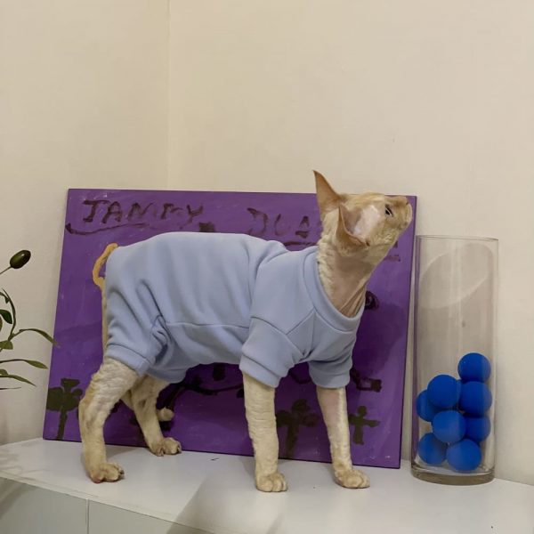 Cat Costumes for Pets-blue