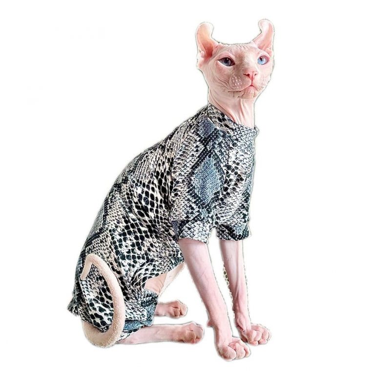 Cat Cloth | 