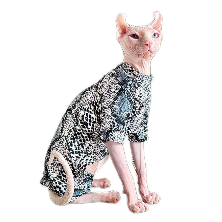 Clothes for Cats to Wear Coolest Snake Tattoo Shirt for Hairless Cat