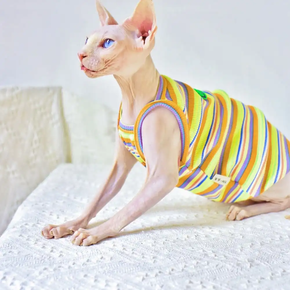 Cute Kitten Clothes Colorful Rainbow Camisole for Sphynx Cat