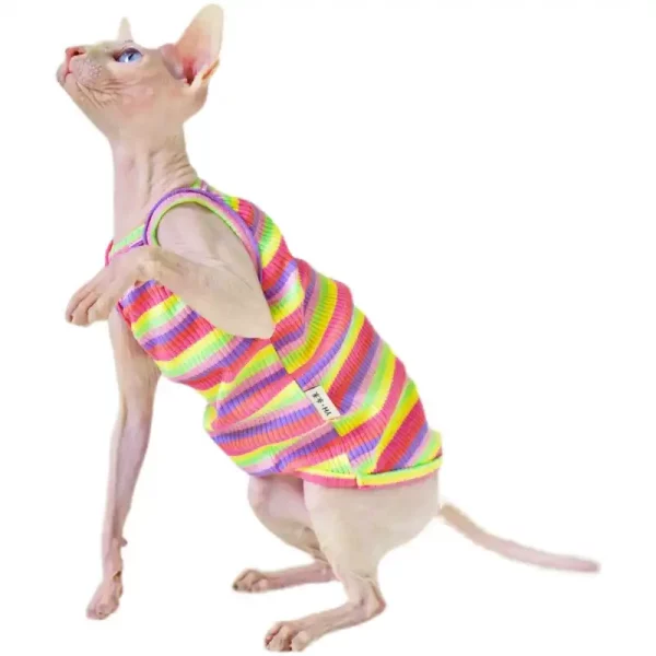 Cute Kitten Clothes-Rainbow Camisole