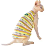 Cute Kitten Clothes-Rainbow Camisole