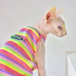 Cute Kitten Clothes-Rainbow Camisole