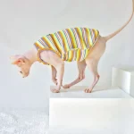 Cute Kitten Clothes-Rainbow Camisole