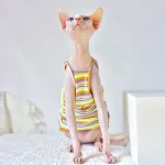 Cute Kitten Clothes-Rainbow Camisole