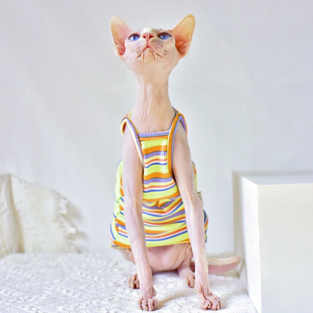 Cute Kitten Clothes-Orange stripes