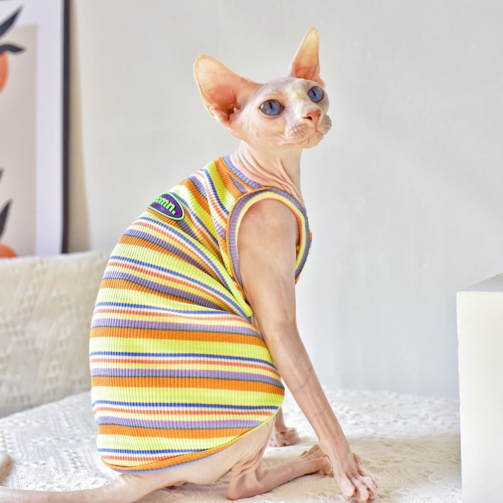 Cute Kitten Clothes-Orange stripes