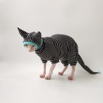 Cute Kitty Outfits | Black and White Stripes Clothes for Sphynx Cats