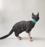 Cute Kitty Outfits | Black and White Stripes Clothes for Sphynx Cats