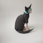 Cute Kitty Outfits | Black and White Stripes Clothes for Sphynx Cats