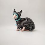 Cute Kitty Outfits | Black and White Stripes Clothes for Sphynx Cats