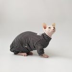 Cute Kitty Outfits | Black and White Stripes Clothes for Sphynx Cats