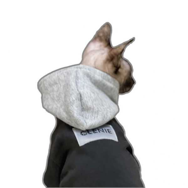 Designer Hoodie for Cat | "Celine" Icon Hoodie for Sphynx