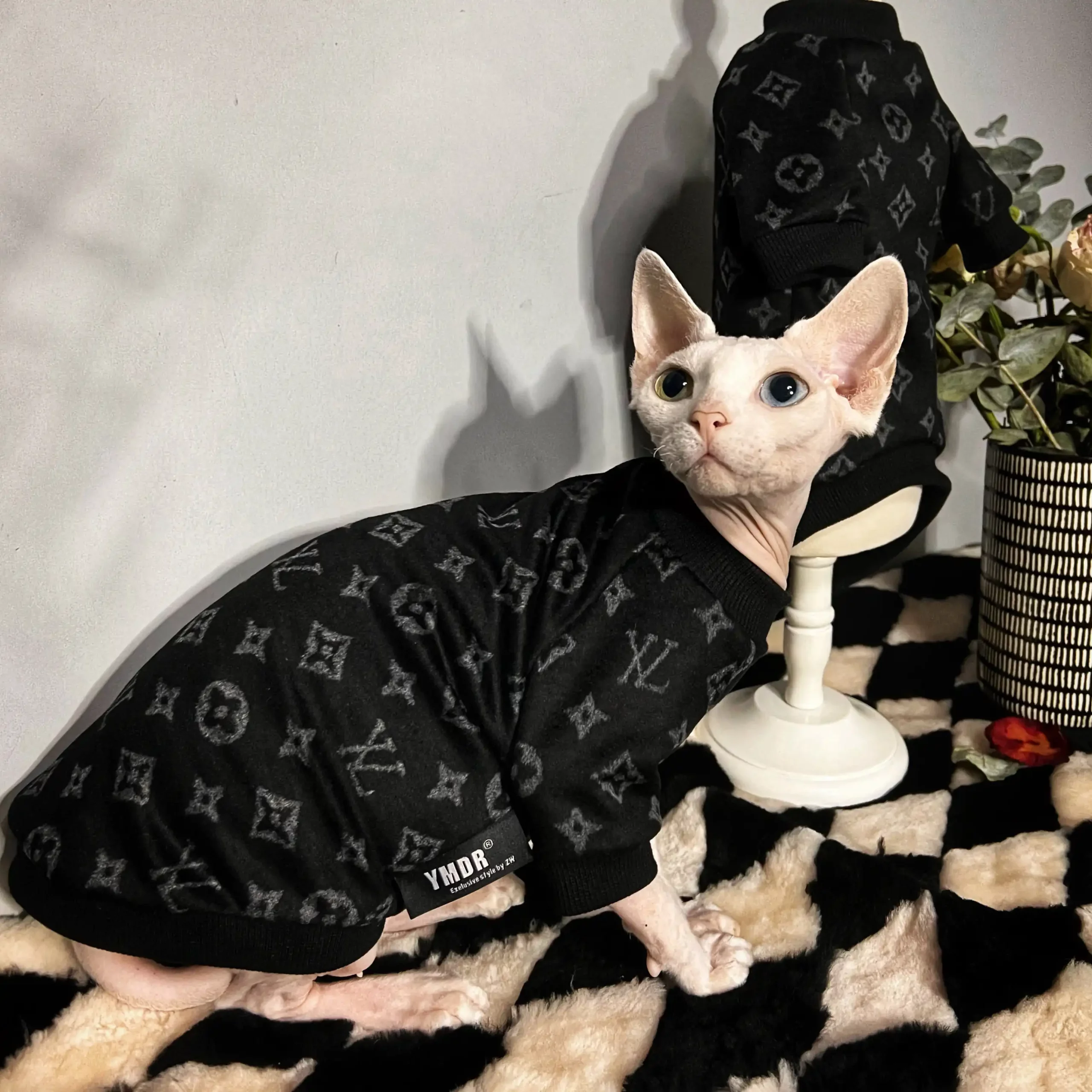 Designer Kitten Clothes | T-shirt clássica LV para Sphynx Cat