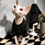 Дизайнерская одежда для котят | Классическая футболка LV для кошки породы сфинкс