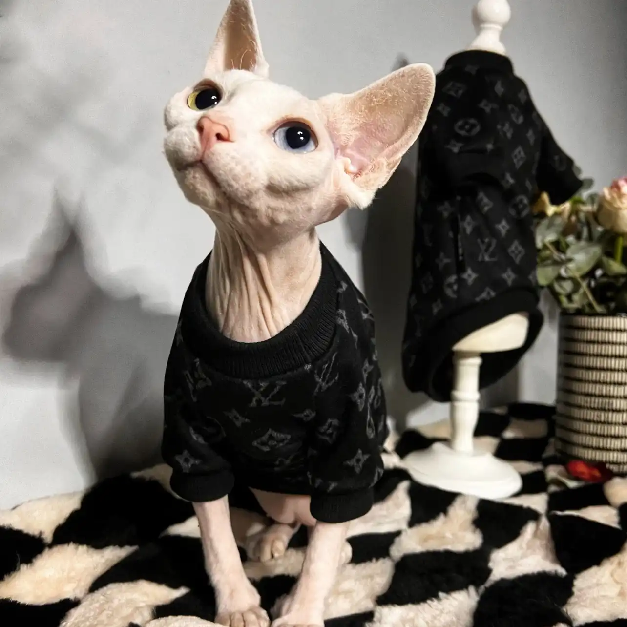 Designer Kitten Clothes | Klassisches LV T-Shirt für Sphynx Katze