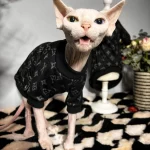 Designer Kitten Clothes | Classic LV T-shirt for Sphynx Cat