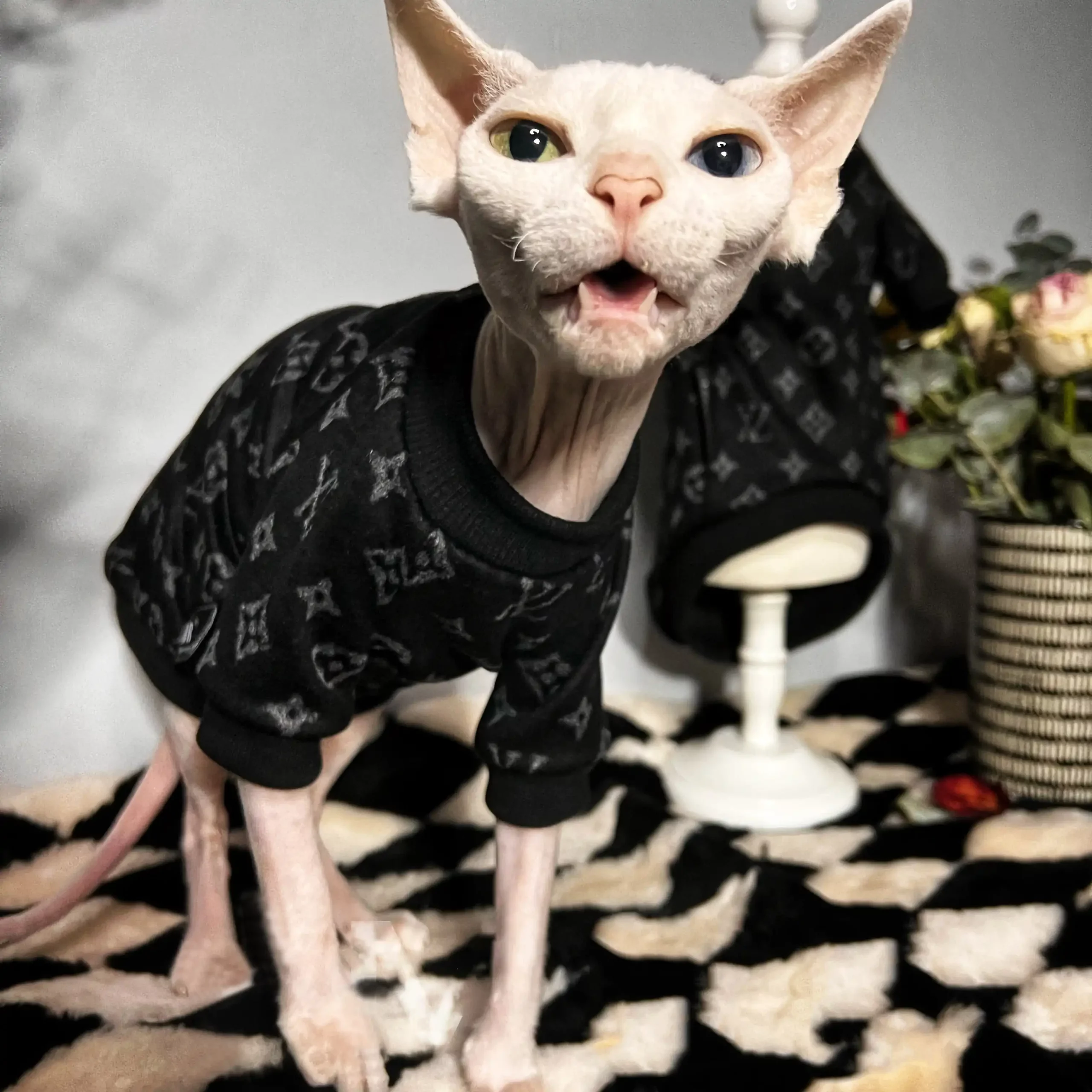 Louis Vuitton Cat Shirt Get - Yeswarmg sphynx clothes