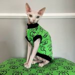 Designer Kitten Clothes Green Gucci Tanktop for Sphynx Cat 🐈