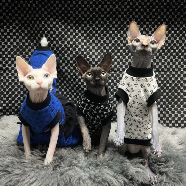 Luxury Cat Clothes Designer Cat Clothes Trendy Cat Clothes