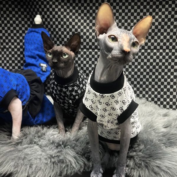 TENGTUD Hairless Cat Clothes,Sphynx/Devon Color Stripes ​Cat Clothes-XS_Amarillo 